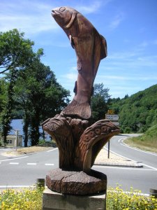 La truite de la Raviège
